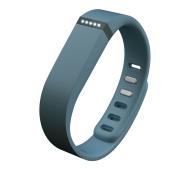 Fitbit Flex (Slate) Fitbit Flex (Slate)