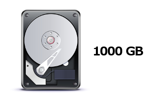 Wbudowany dysk 1000 GB