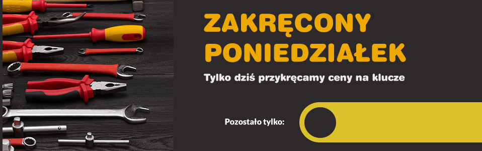 Zakręcone poniedziałki