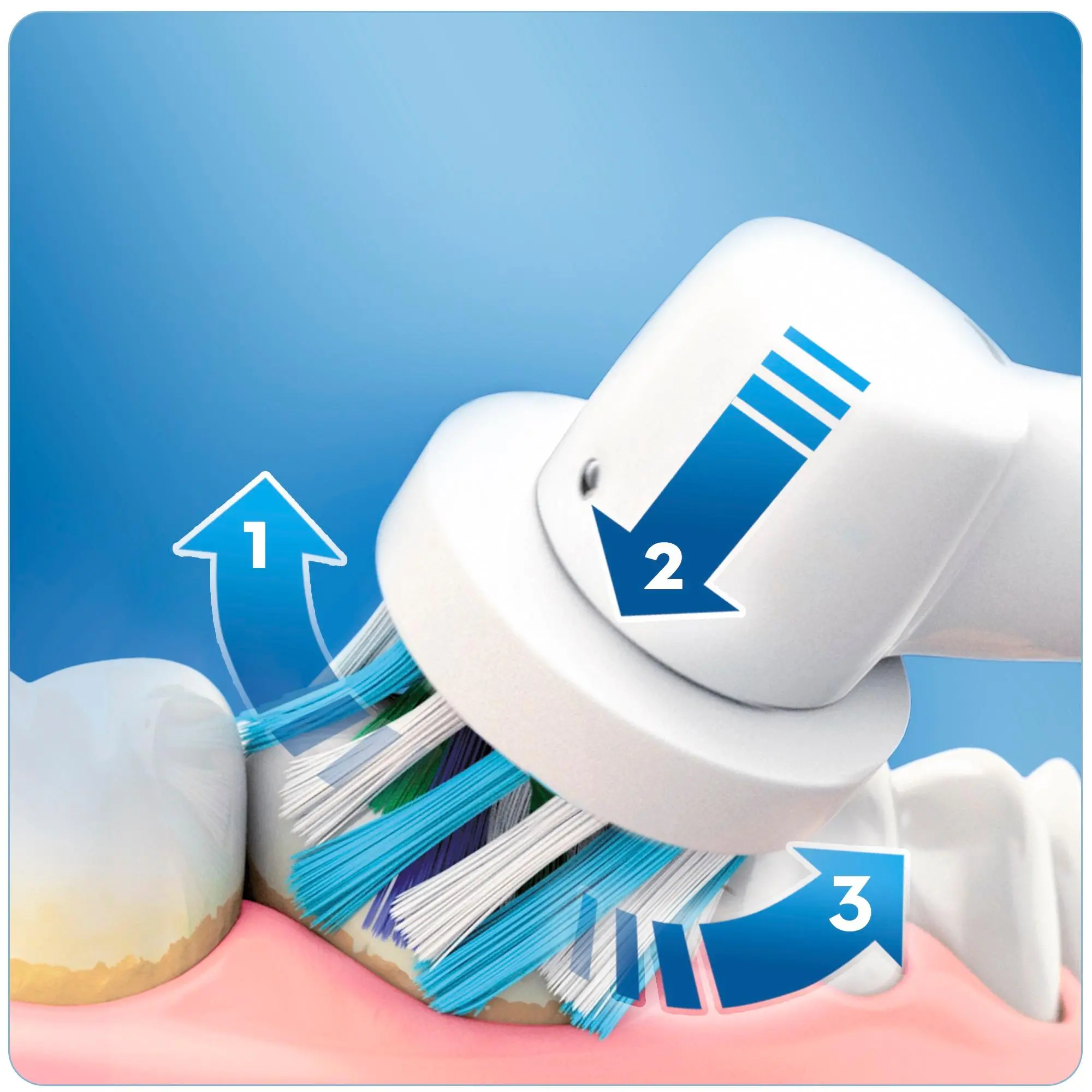 Szczoteczka rotacyjna Oral-B Vitality D12.513