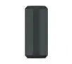 Głośnik Bluetooth Sony SRS-XE300 Czarny
