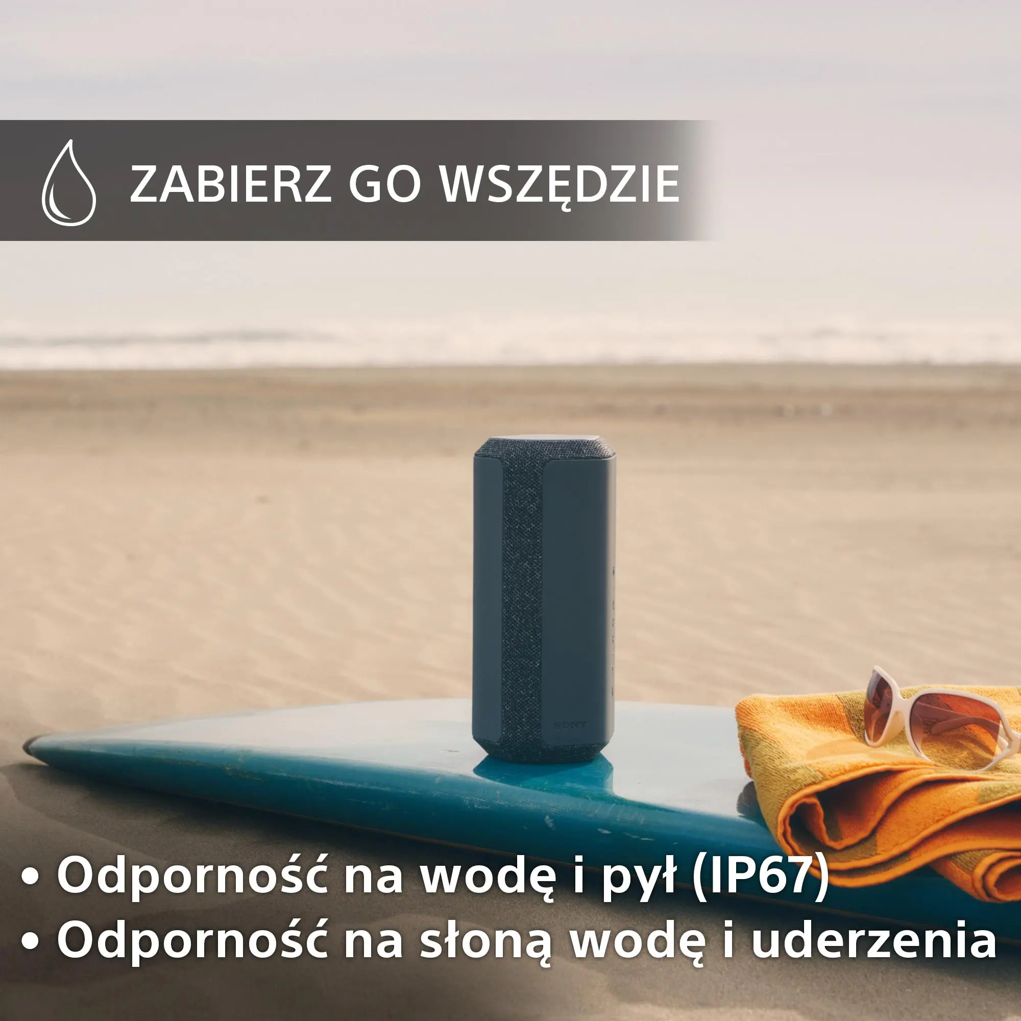 Głośnik Bluetooth Sony SRS-XE300 Czarny