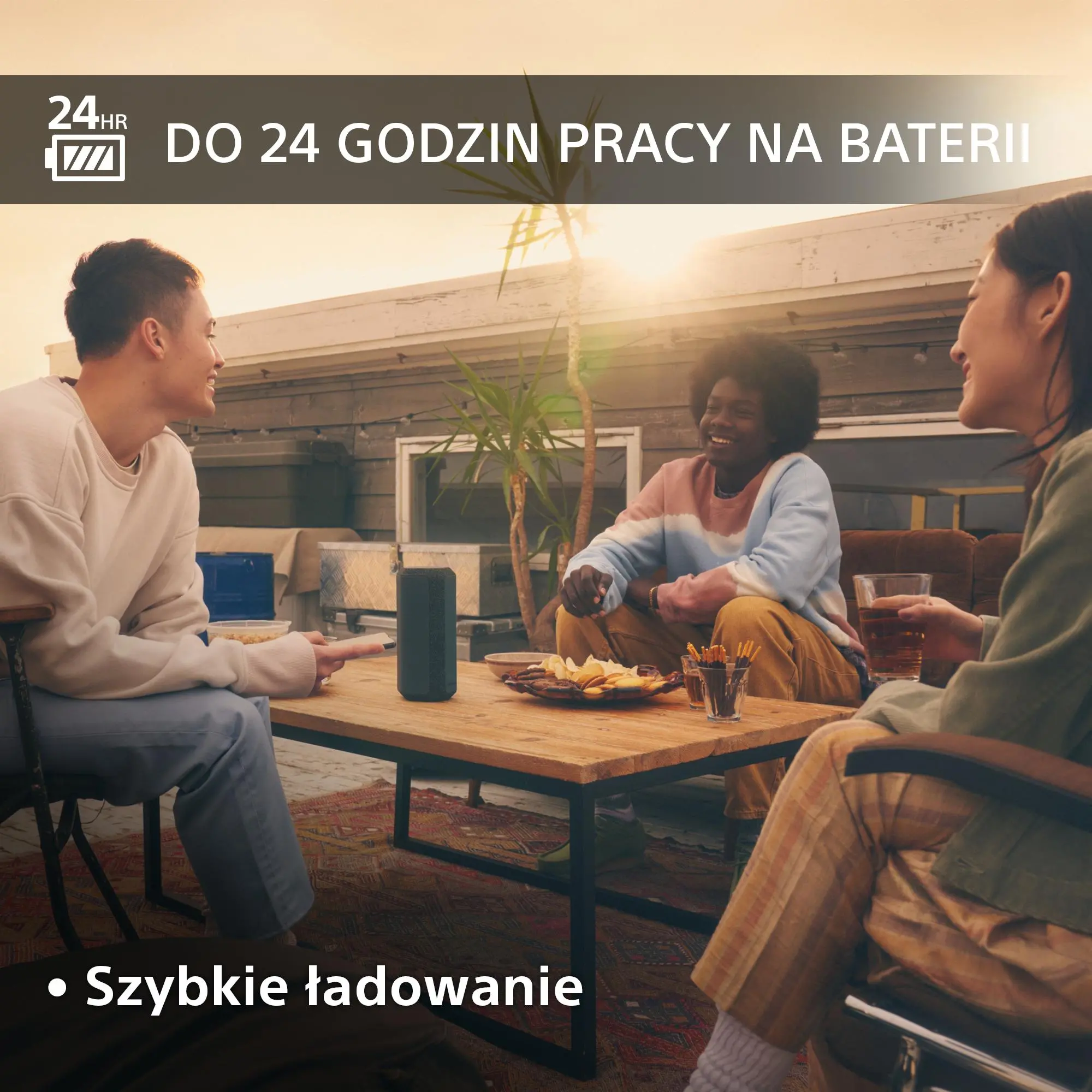 Głośnik Bluetooth Sony SRS-XE300 Czarny