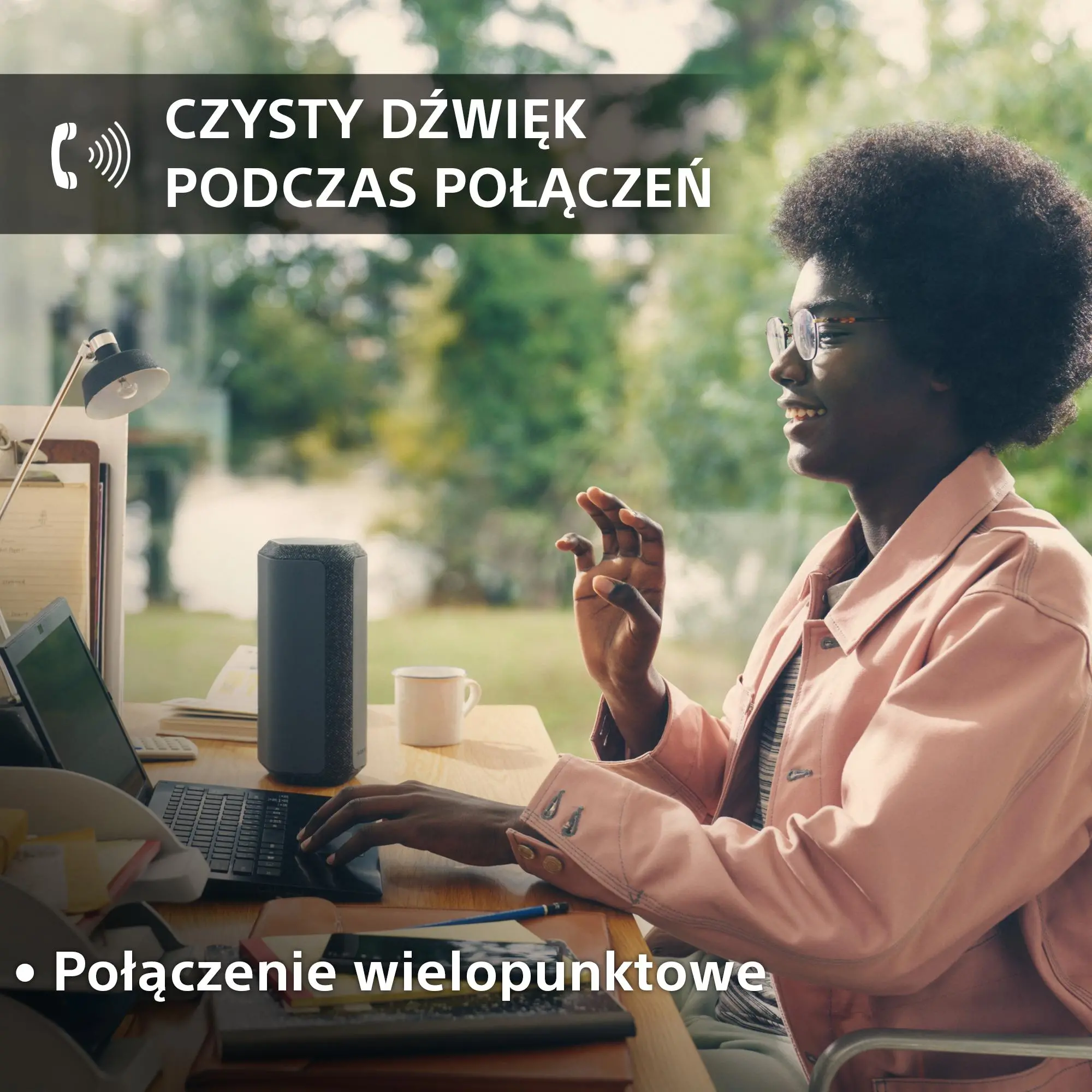 Głośnik Bluetooth Sony SRS-XE300 Czarny