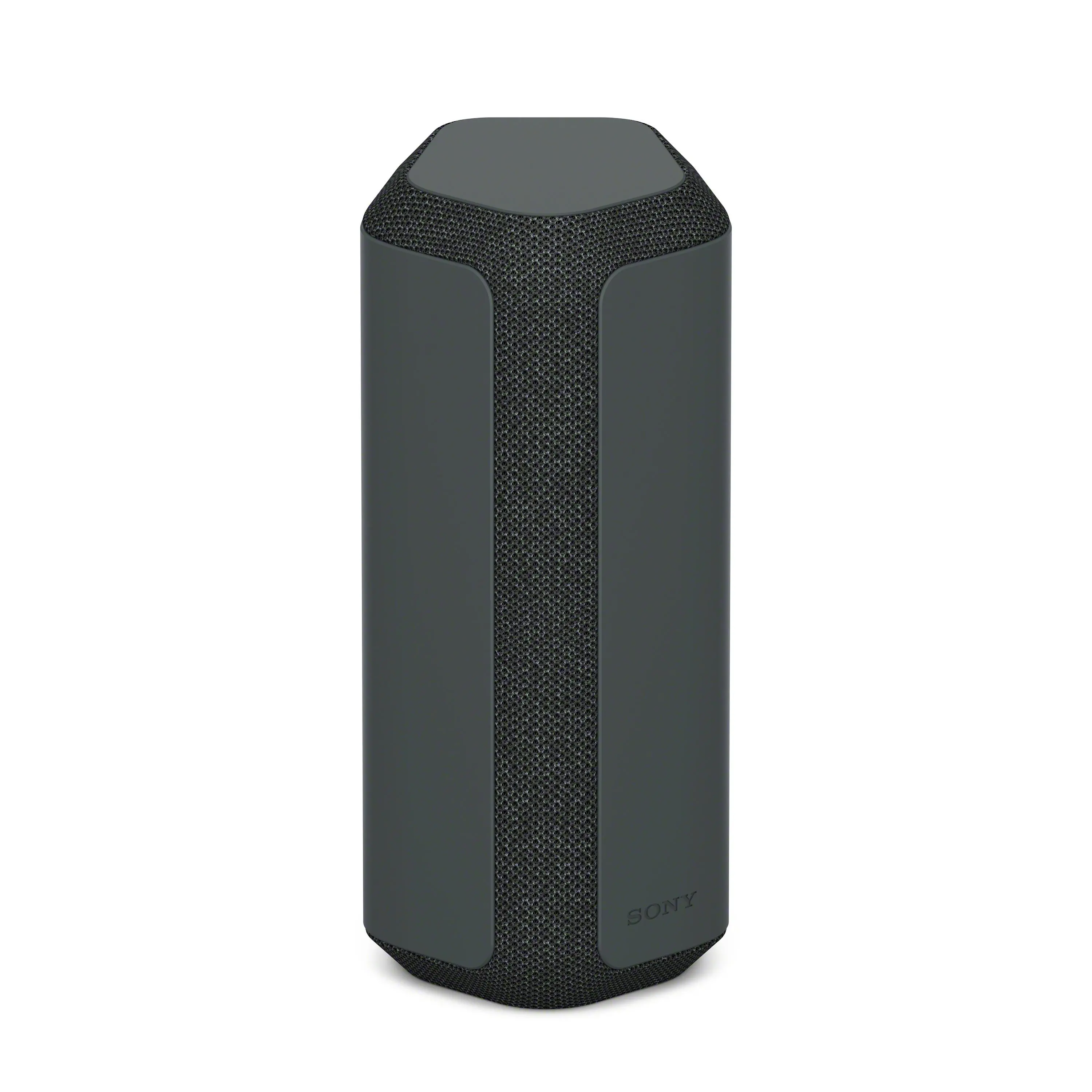 Głośnik Bluetooth Sony SRS-XE300 Czarny