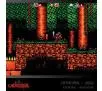 Gra Evercade Alwa's Awakening / Cathedral