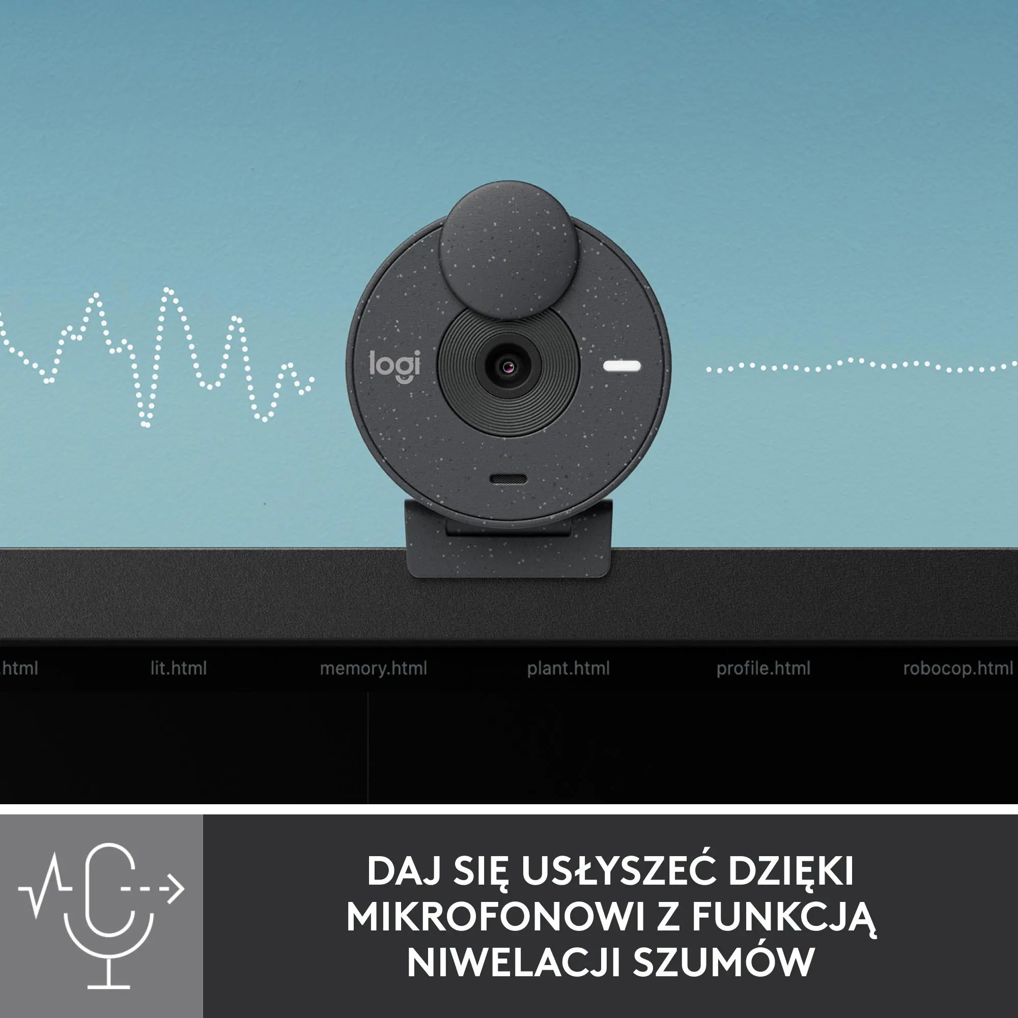 Kamera internetowa Logitech Brio 300 Grafitowy