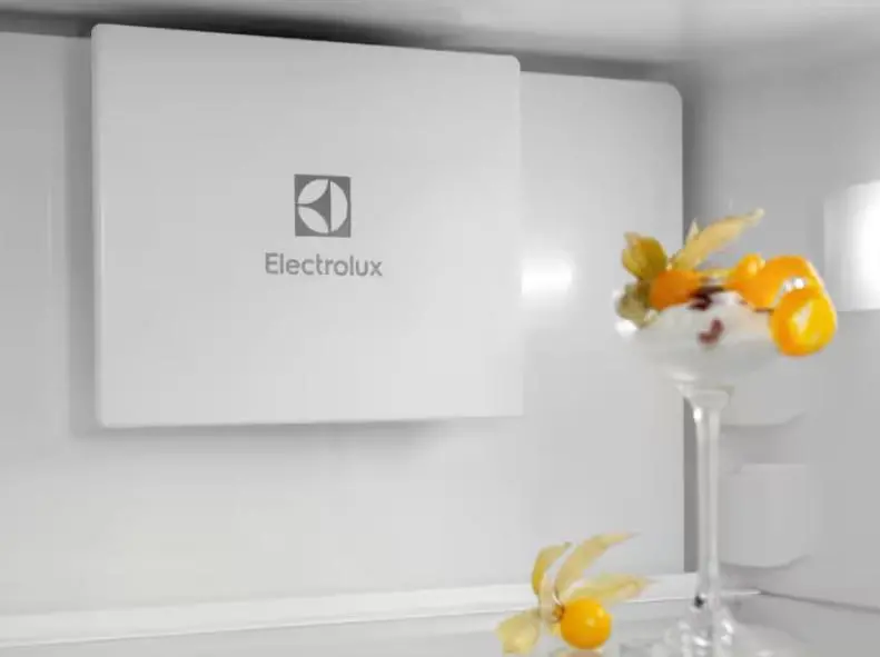 Lodówka Electrolux ENT6ME18S Zamrażarka No Frost 177,2cm Szuflada z kontrolą wilgotności