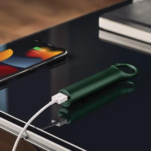 Powerbank Lexon LL138DG1 Nomaday 3000mAh 5W Zielony
