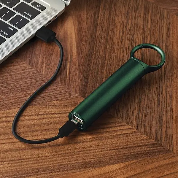 Powerbank Lexon LL138DG1 Nomaday 3000mAh 5W Zielony