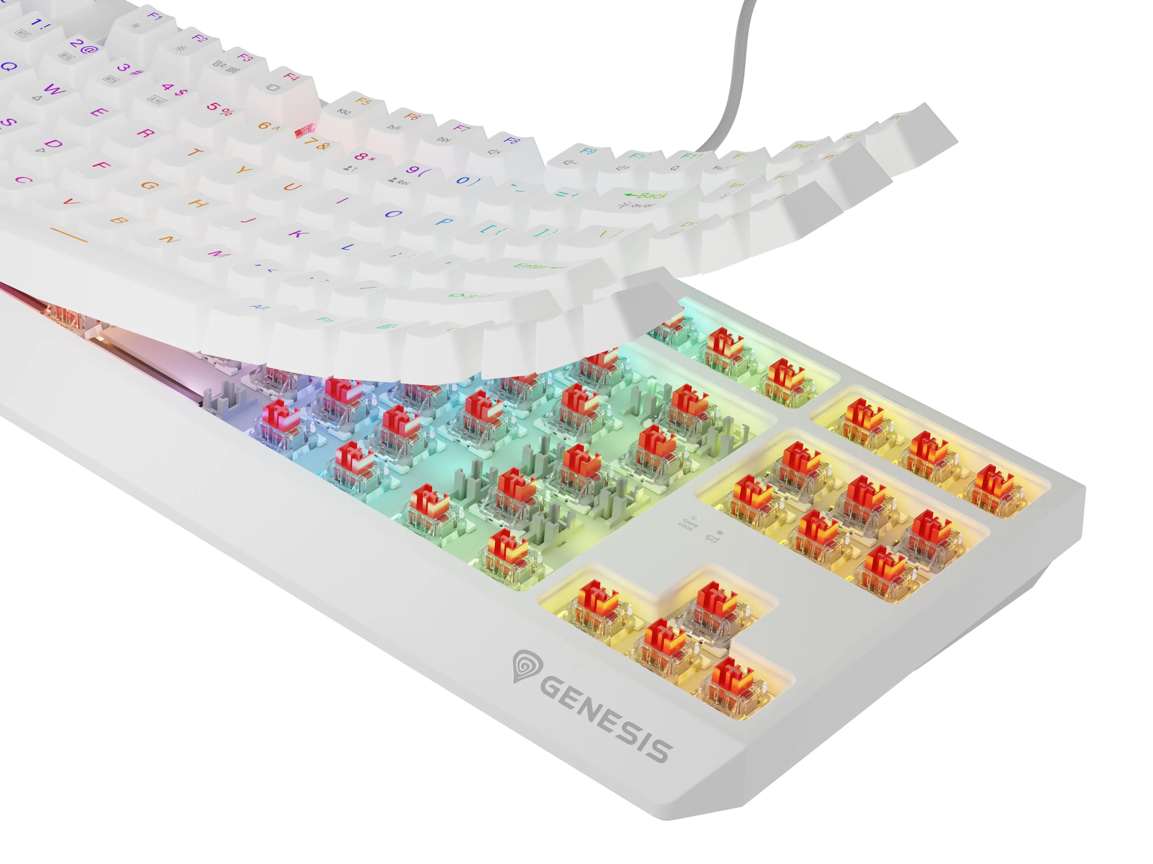 Klawiatura mechaniczna Genesis Thor 230 TKL US RGB Outemu Red Biały