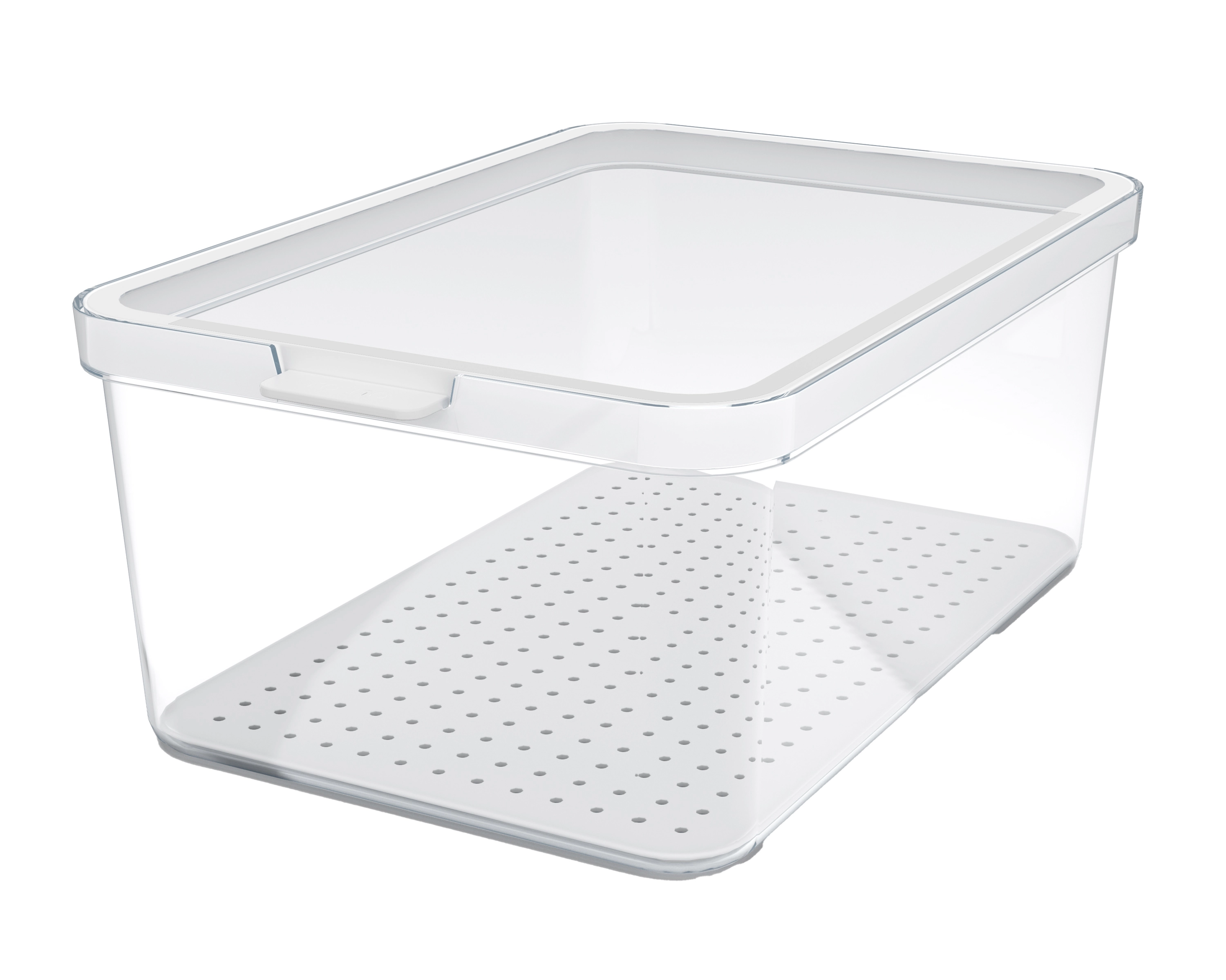 Pojemniki do lodówki Rotho Cauma 4,65l