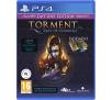 Torment: Tides of Numenera Day One Edition PS4 / PS5