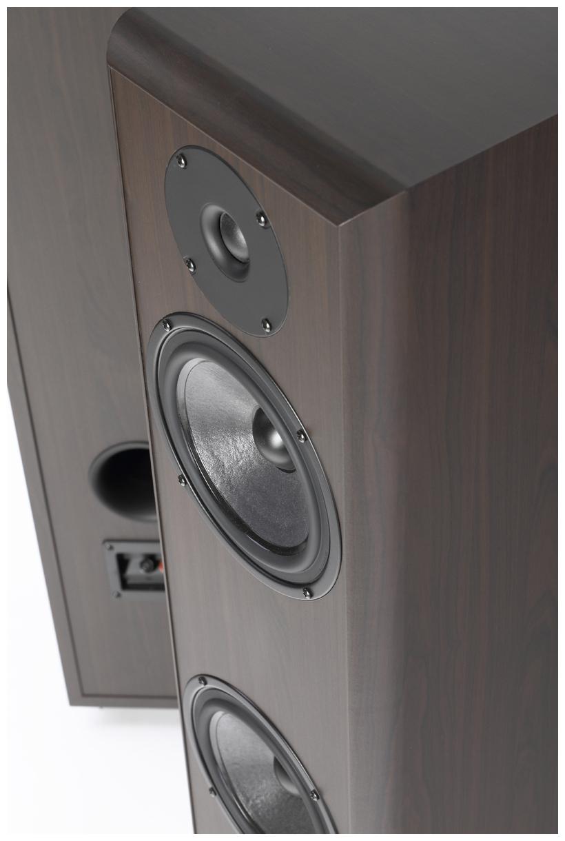 Kolumny Pylon Audio Coral 25 (wenge) 2 szt.