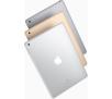Apple iPad Wi-Fi + Cellular 128GB Srebrny