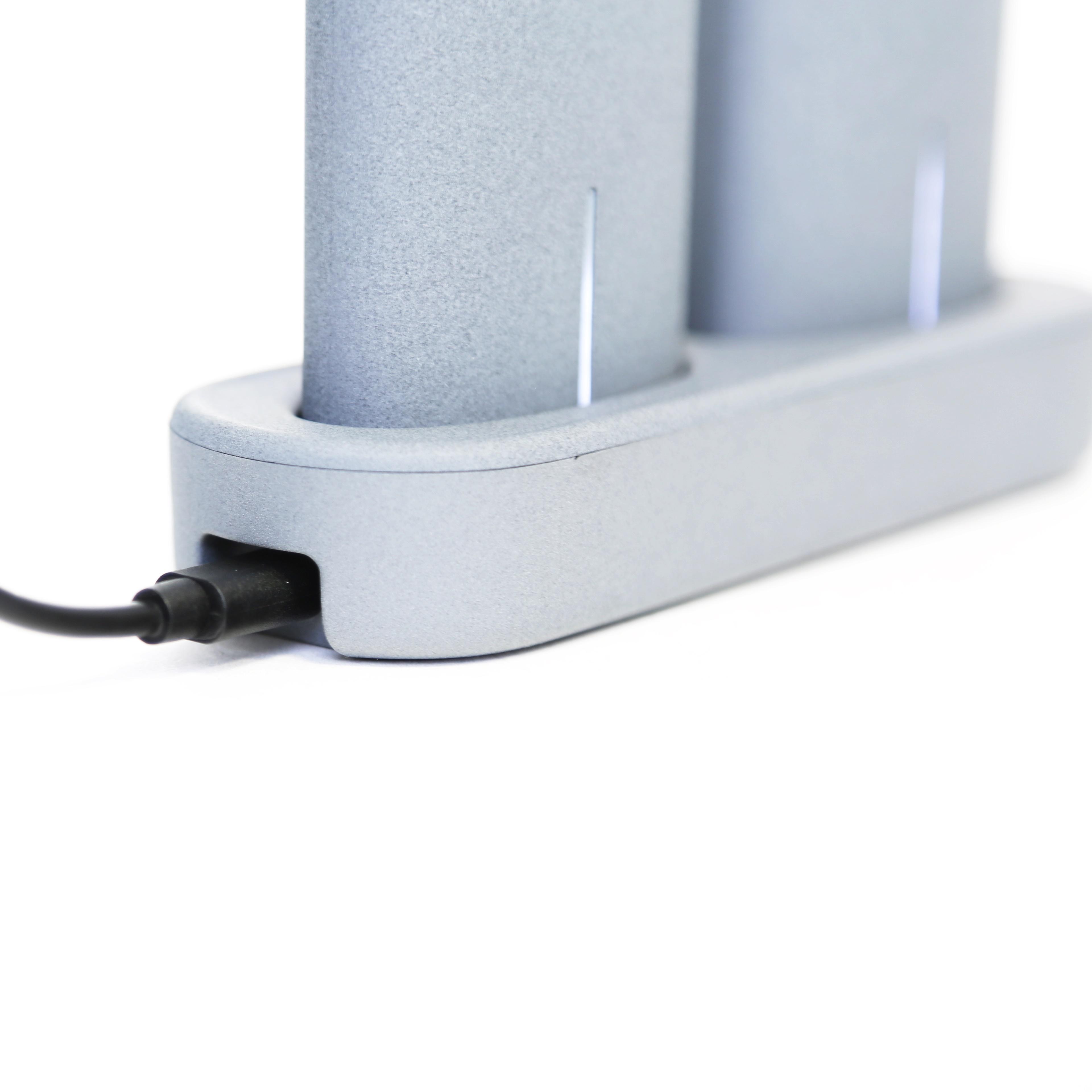 Powerbank Platinet PMPB5DG Dual 2 x 5000mAh Docking Station (szary)