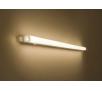Philips TRUNKLINEA 9W 4000K wall lamp LED 31234/31/P3