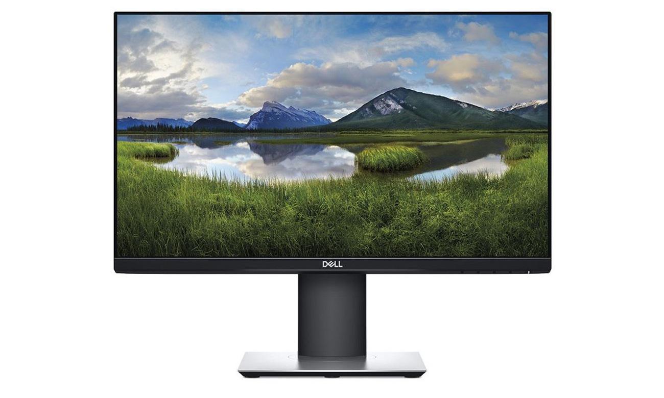 Monitor Dell P2419H (210-APWU/5Y)