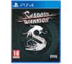 Shadow Warrior PS4 / PS5