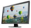 Monitor Eizo ColorEdge CS2410 24" Full HD IPS 60Hz 14ms