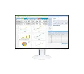 Monitor Eizo FlexScan EV2457 Biały 24" Full HD IPS 60Hz 5ms