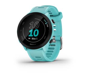 Smartwatch Garmin Forerunner 55 42mm GPS Niebieski