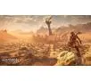 Horizon Forbidden West Gra na PS4 (Kompatybilna z PS5)