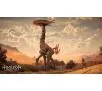 Horizon Forbidden West Gra na PS4 (Kompatybilna z PS5)