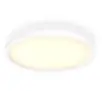 Lampa sufitowa Philips Hue White Ambiance Aurelle