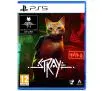 Stray Gra na PS5