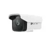 Kamera TP-LINK VIGI C300HP-6