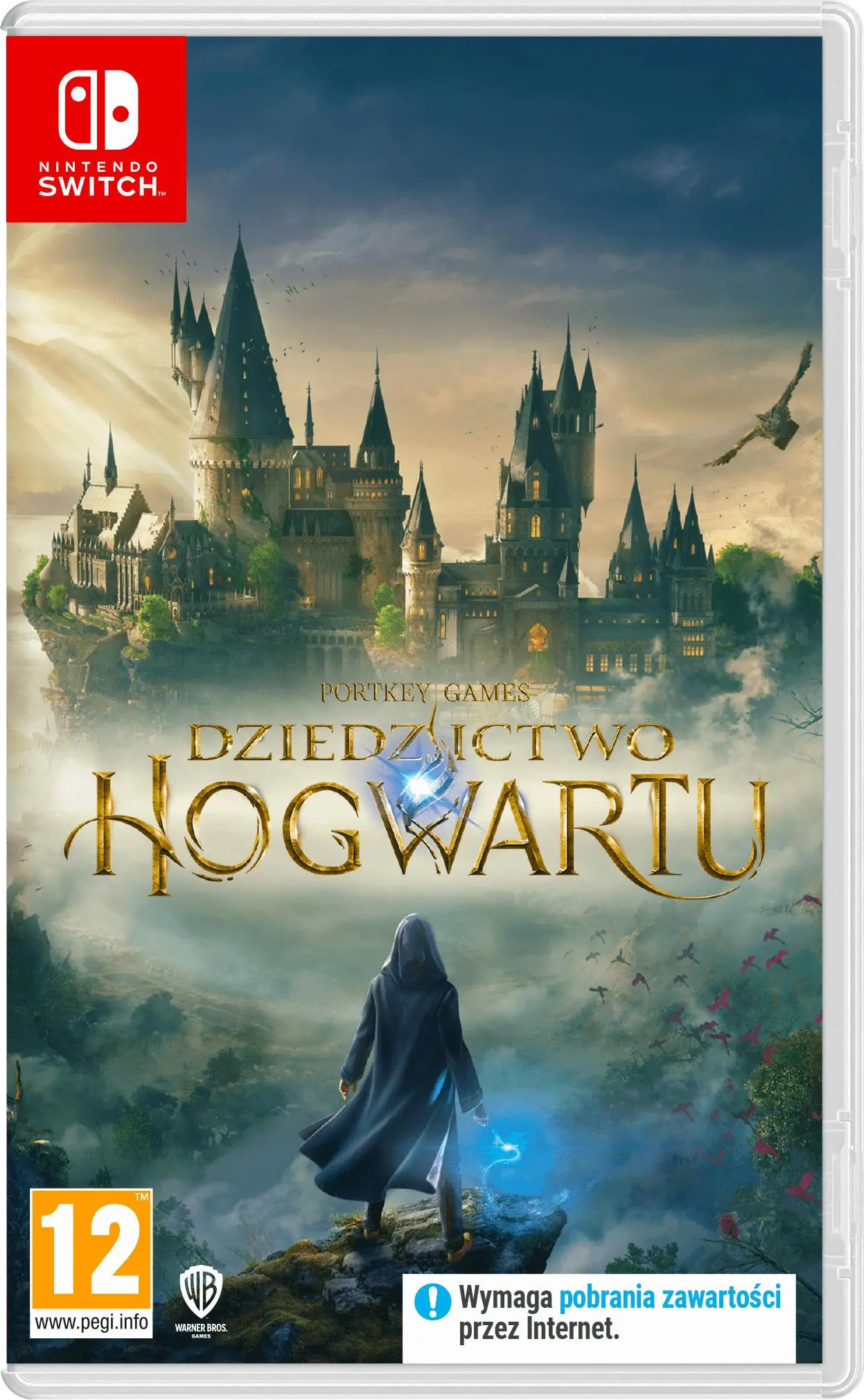 Dziedzictwo Hogwartu (Hogwarts Legacy) Gra na Nintendo Switch