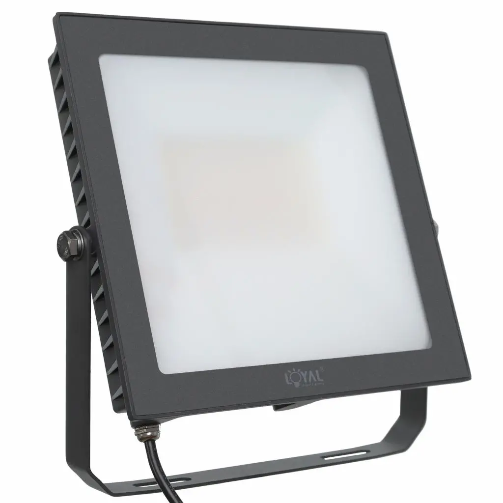 Naświetlacz Loyal Lighting LY-FLE 100 14500lm