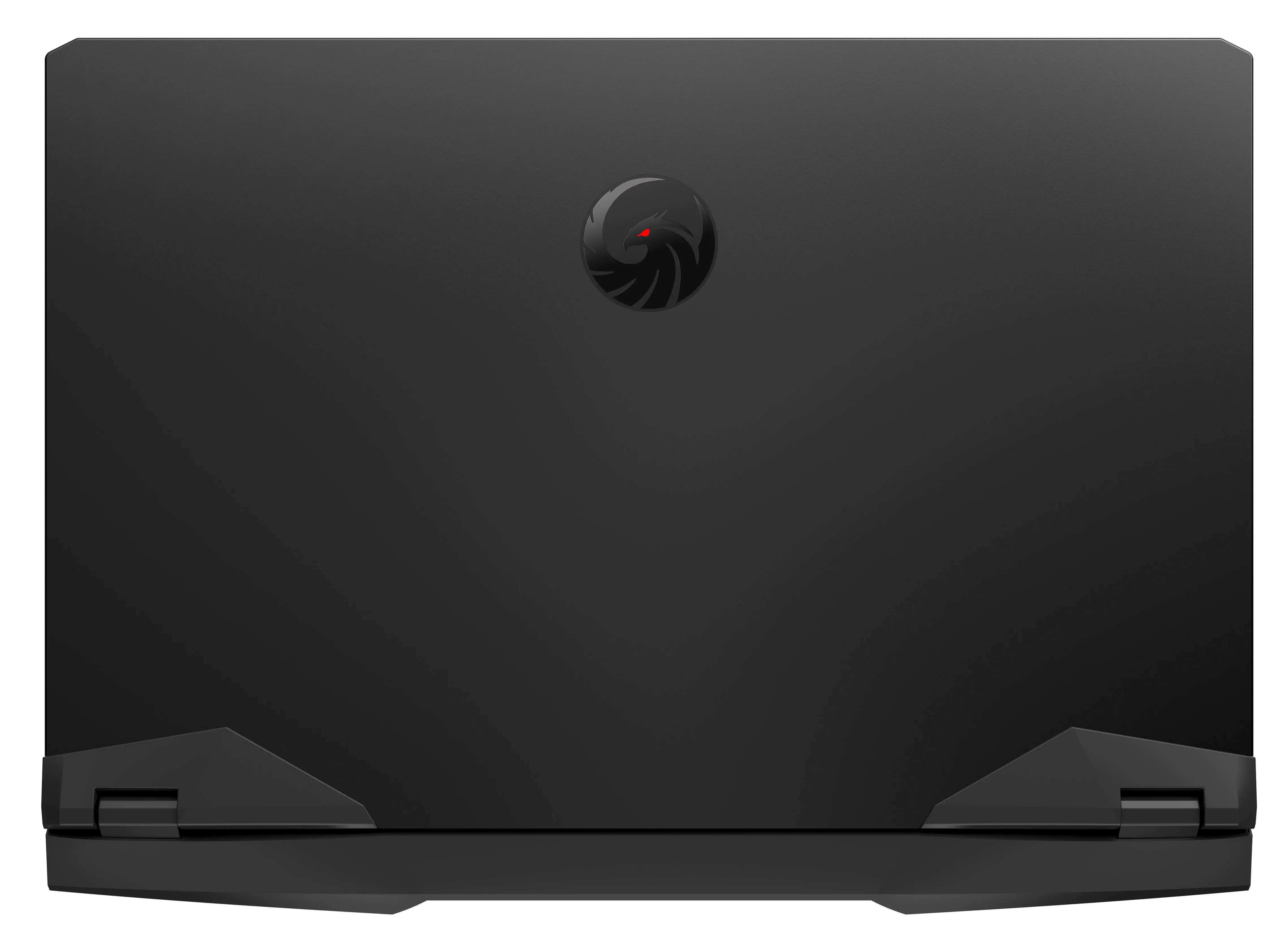 Laptop gamingowy MSI Alpha 17 C7VF-017XPL 17,3" 240Hz R9 7945HX 16GB RAM 1TB Dysk SSD RTX4060 DLSS3 Czarny