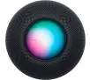Głośnik Apple HomePod Mini Space gray