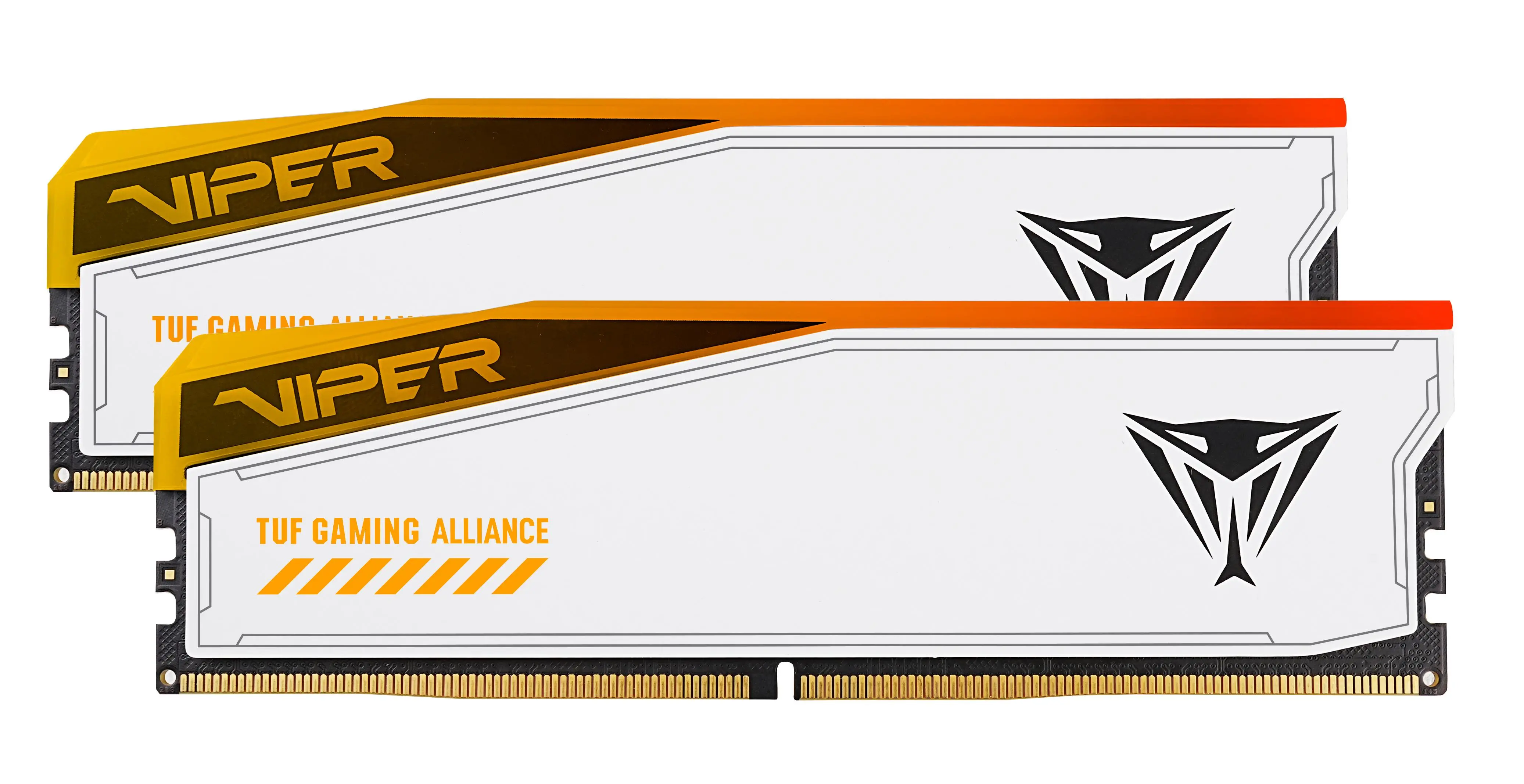Pamięć RAM Patriot Viper Elite 5 RGB TUF Gaming Alliance DDR5 32GB (2 x 16GB) 6000 CL36 Biały