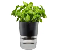 Gefu Botanico G18920