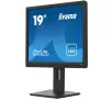 Monitor iiyama ProLite B1980D-B5 19" HD  TN 60Hz 5ms