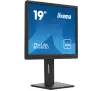 Monitor iiyama ProLite B1980D-B5 19" HD  TN 60Hz 5ms