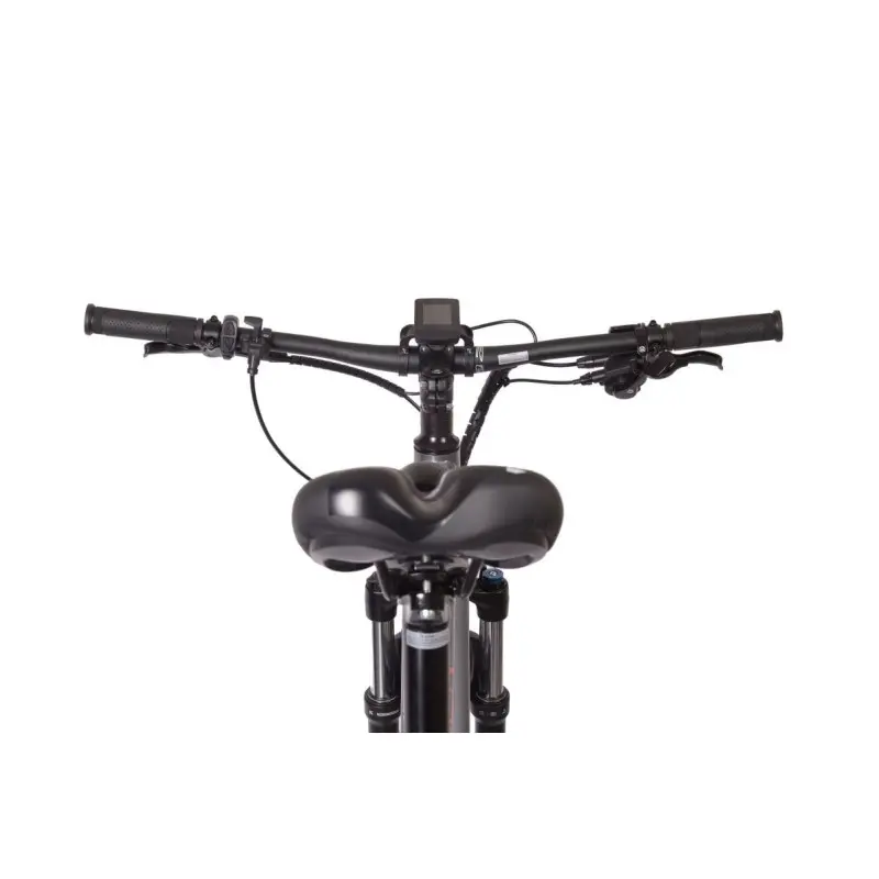 Rower elektryczny Bottecchia BE33 TEASER Szary