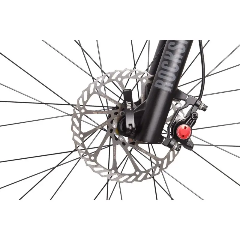 Rower elektryczny Bottecchia BE33 TEASER Szary