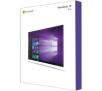Program Microsoft Windows 10 Professional 64 bit OEM ENG