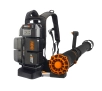 Dmuchawa Worx WG572E 80V