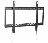KingMount KG-1012 od 60" do 100" Max 100kg