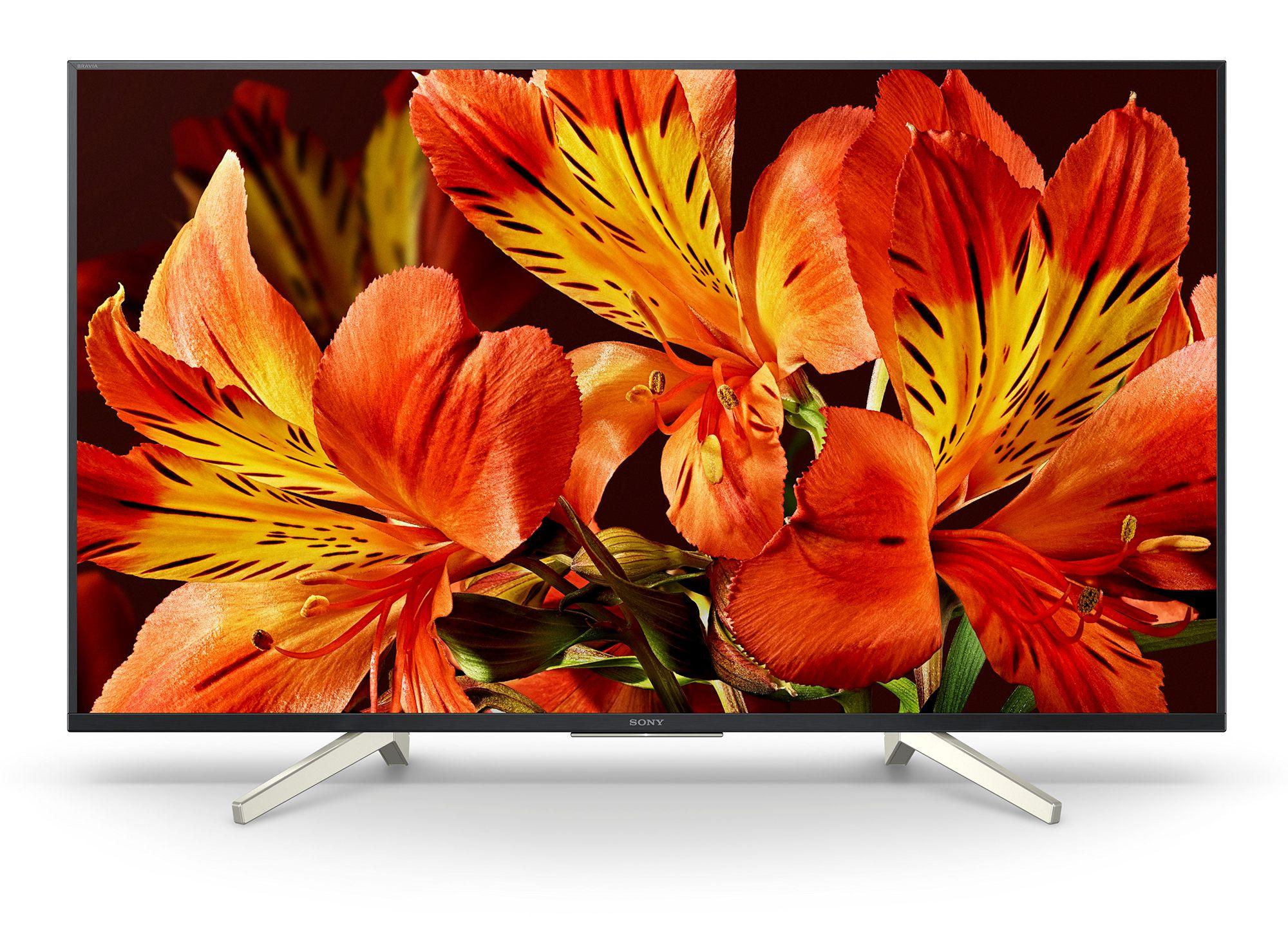 Telewizor Sony KD-55XF8596