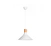 Philips Tunnel pendant