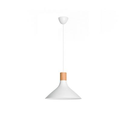 Philips Tunnel pendant