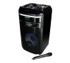 Power Audio Blaupunkt PS6 45W Bluetooth Radio FM Mikrofon Karaoke Czarny
