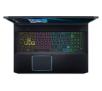 Acer Predator Helios 300 NH.Q5REP.019 17,3" Intel® Core™ i7-9750H 32GB RAM  1TB Dysk SSD  RTX2070 Max-Q Grafika - W10