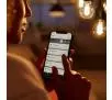 Żarówka LED Philips Hue White Retro ST64 Filament E27 1 szt.